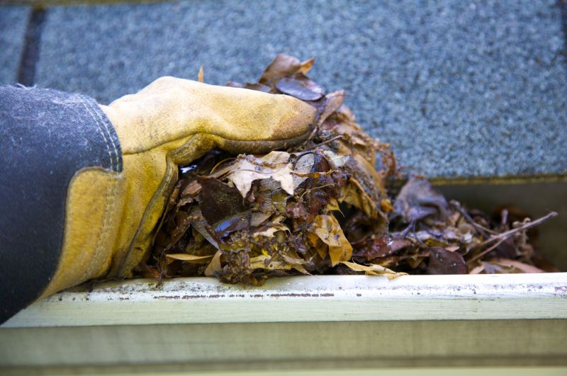 Gutter Leaves Removal in Longmont, CO