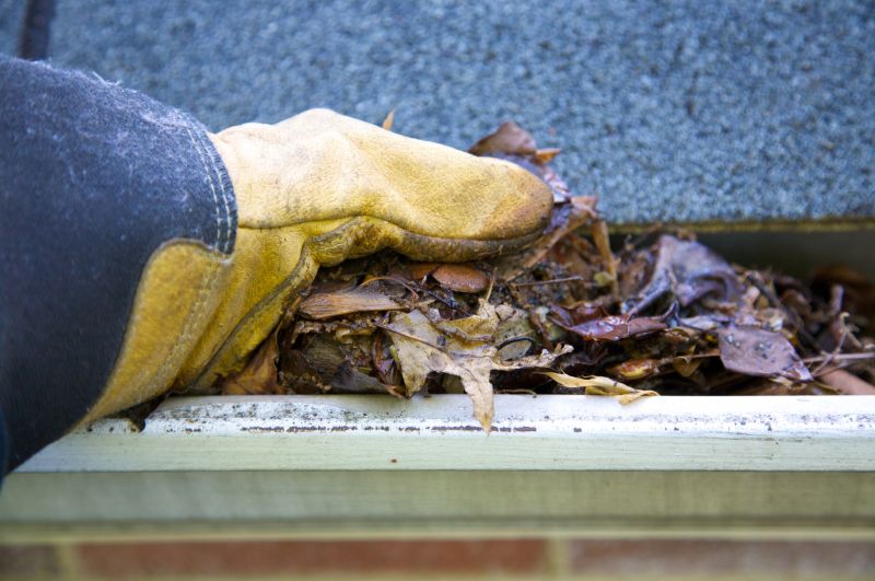 Gutter Pine Needle Removal in Long Island, NY
